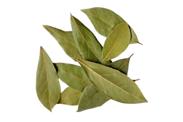 Carnevale Bay Leaves (1kg) | Wholesale | PDP | Delicatezza