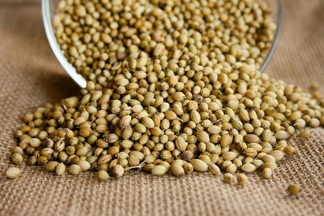 Coriander Seeds (1Kg) | Wholesale | Delicatezza 