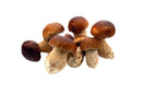  Frozen Mixed Mushrooms with Porcini (1Kg) | Wholesale | Delicatezza 